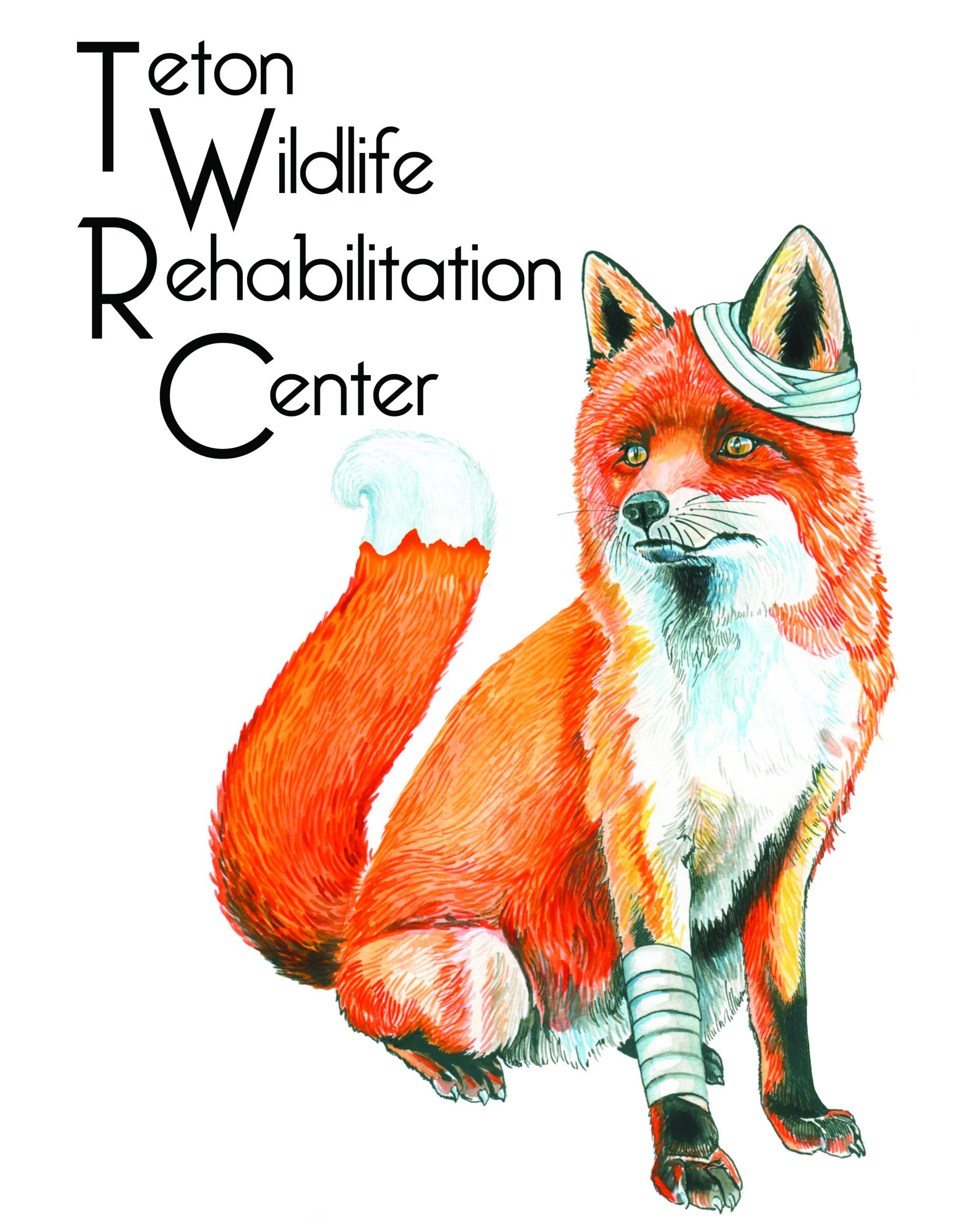 Teton Wildlife Rehabilitation Center